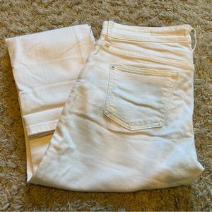 Pilcro and the Letterpress by Anthropologie Slim Boyfriend Jeans